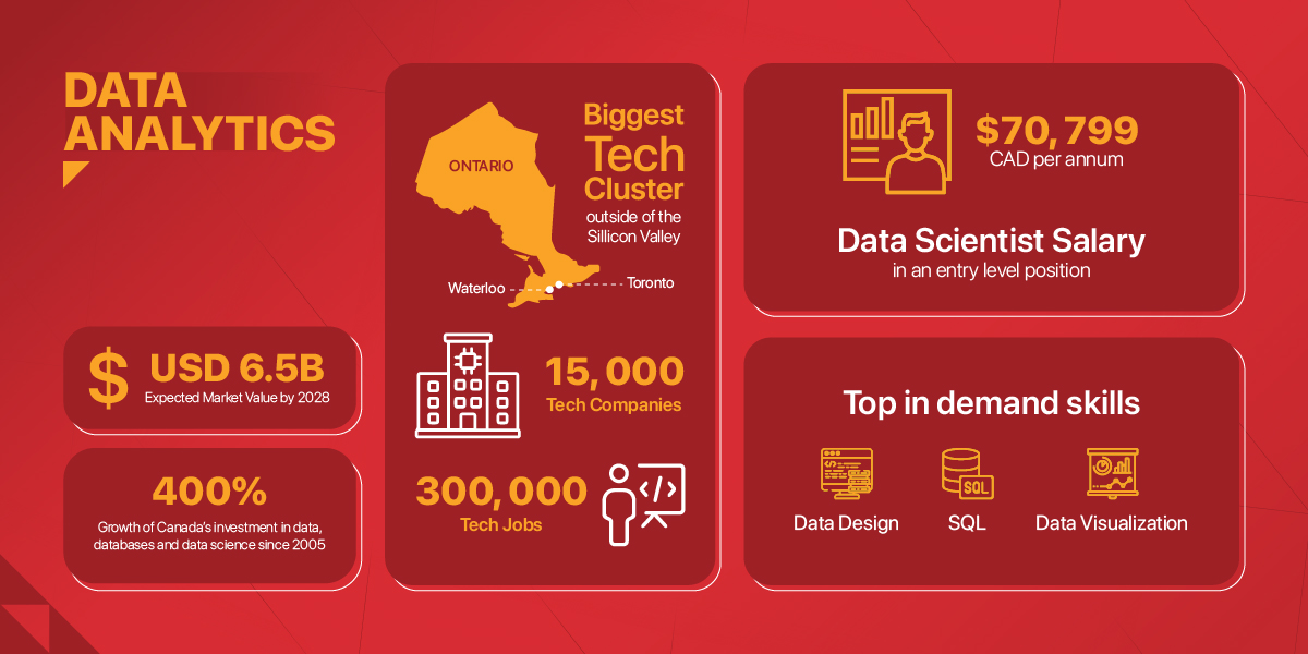 Infographic by Trebas on data analytics, illustrating key concepts and metrics.